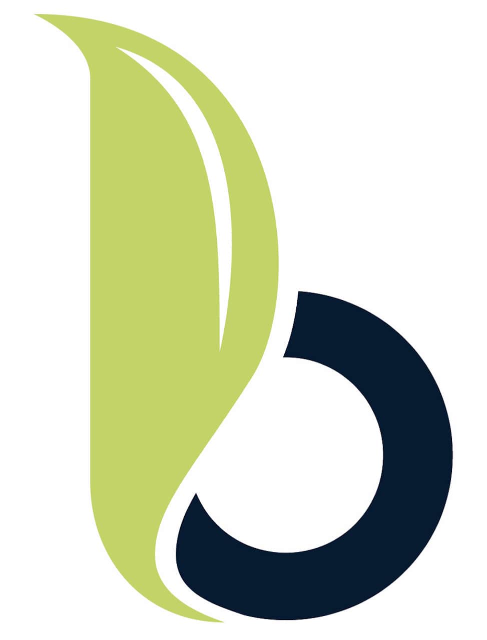 Bloom Reverse Mortgages