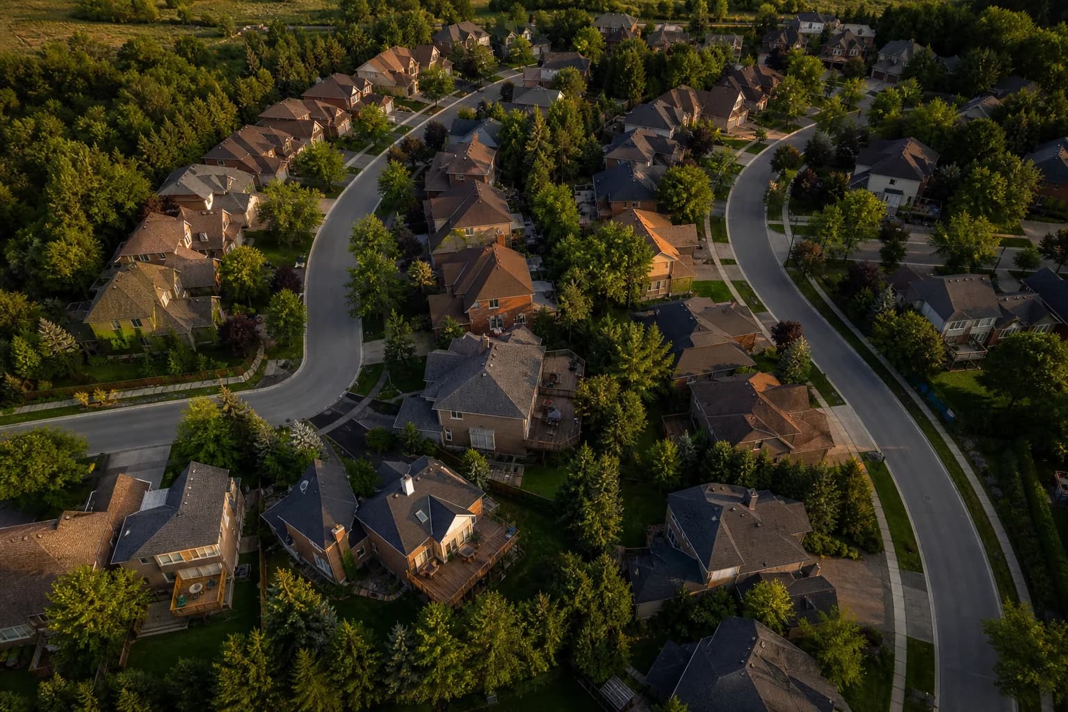 Aerial view of Canadian subdivision with mature street trees