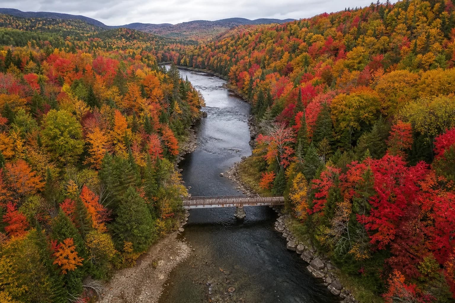 Aerial view of a winding Canadian river through autumn forest